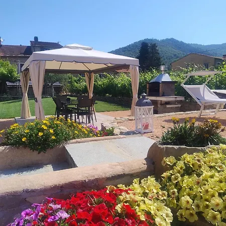 Il Borgo - Ulivo