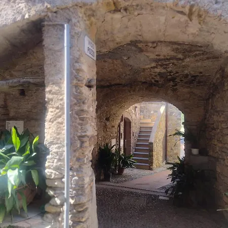 Il Borgo - Ulivo *