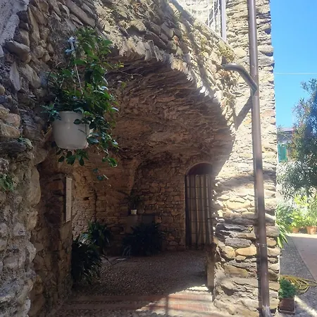 Il Borgo - Ulivo *
